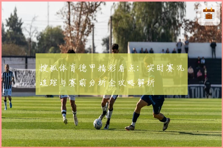 搜狐体育德甲精彩看点：实时赛况追踪与赛前分析全攻略解析