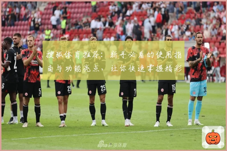 搜狐体育推荐：新手必看的使用指南与功能亮点，让你快速掌握精彩赛事动态