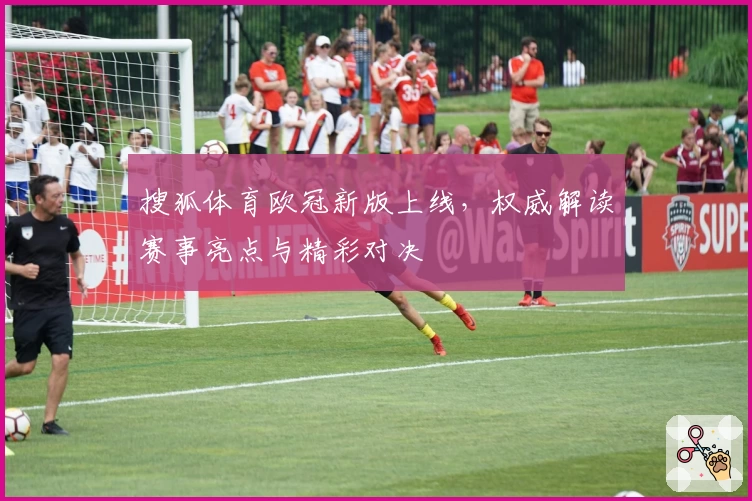 搜狐体育欧冠新版上线，权威解读赛事亮点与精彩对决