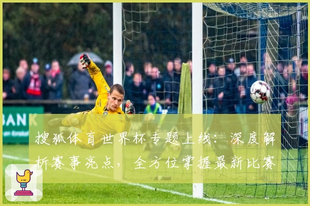 搜狐体育世界杯专题上线：深度解析赛事亮点，全方位掌握最新比赛动态