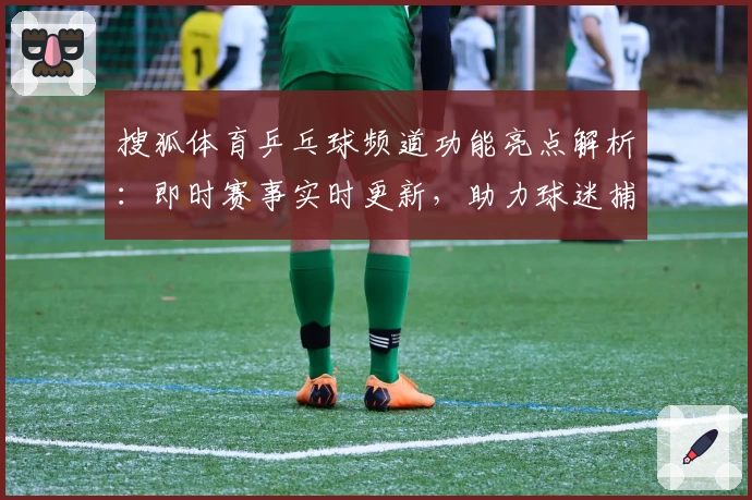 搜狐体育乒乓球频道功能亮点解析:即时赛事实时更新,助力球迷捕捉精彩瞬间