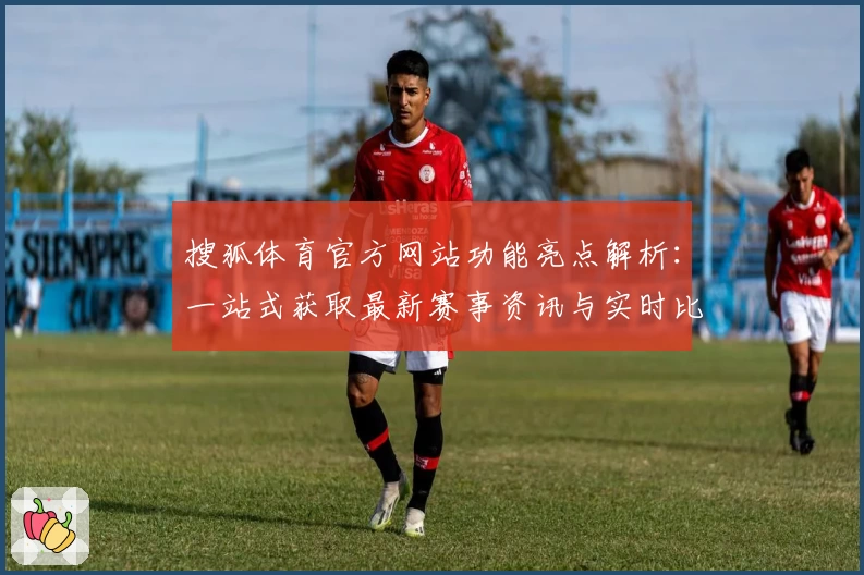 搜狐体育官方网站功能亮点解析:一站式获取最新赛事资讯与实时比分
